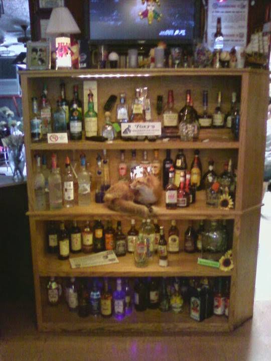 Foxys Restaurant and Lounge | restaurant | 51 N Meridian Rd, Youngstown, OH 44509, USA | 3307928000 OR +1 330-792-8000