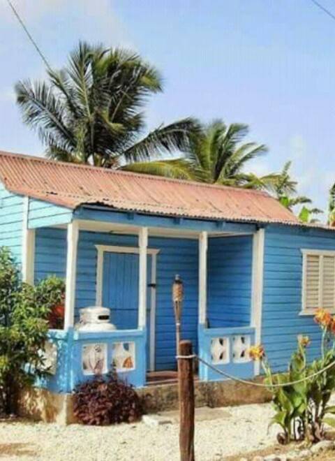 Sajoma Deli Restaurant | restaurant | 554 Sanger St, Philadelphia, PA 19120, USA | 2677317046 OR +1 267-731-7046