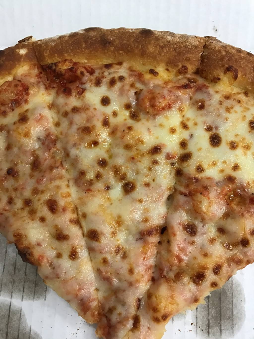 Papa Johns Pizza | meal delivery | 1620 Deerfield Rd, Highland Park, IL 60035, USA | 8478317272 OR +1 847-831-7272