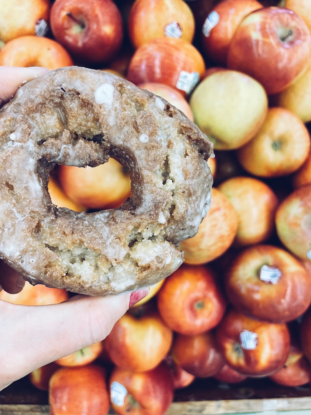 The Donut Theory | restaurant | 333 W Depot Ave, Knoxville, TN 37917, USA | 2565533266 OR +1 256-553-3266