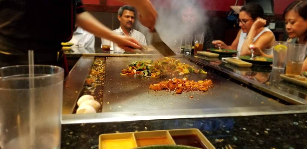 Shogun | restaurant | 173 S Livernois Rd, Rochester, MI 48307, USA | 2484535386 OR +1 248-453-5386