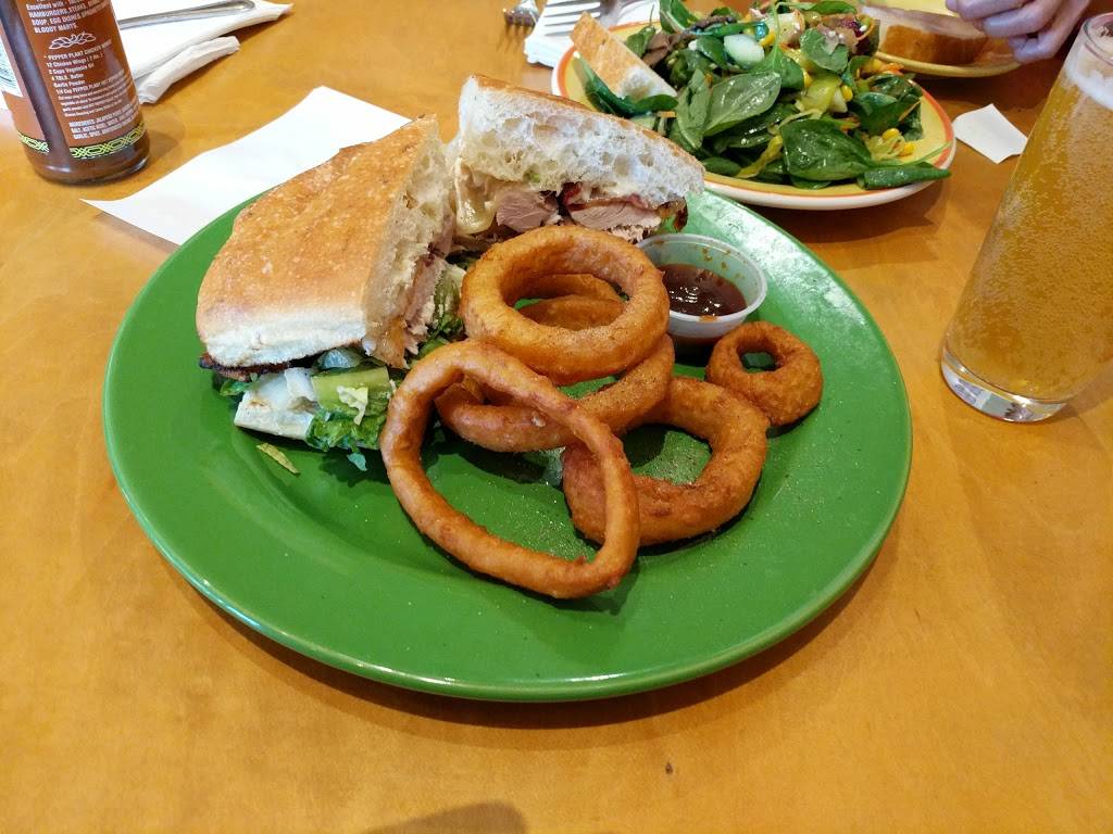 Pluto’s | meal takeaway | 3258 Scott St, San Francisco, CA 94123, USA | 4157758867 OR +1 415-775-8867