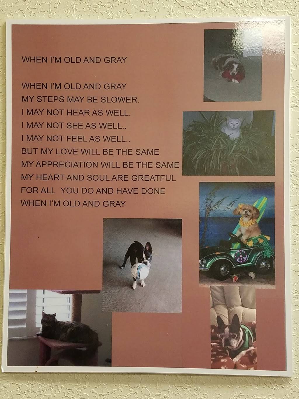 Darrells Diner | restaurant | 17350 SE 109th Terrace Rd, Summerfield, FL 34491, USA | 3523071686 OR +1 352-307-1686