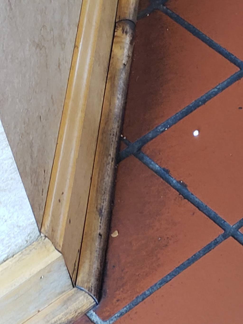 Dairy Queen | restaurant | 568 S Erie St, Mercer, PA 16137, USA | 7246625801 OR +1 724-662-5801