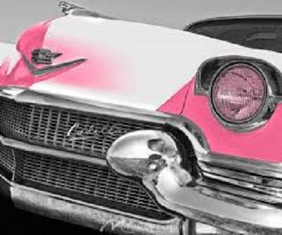 The Pink Cadillac Diner | restaurant | 4347 S Lee Hwy, Natural Bridge, VA 24578, USA | 5402912378 OR +1 540-291-2378