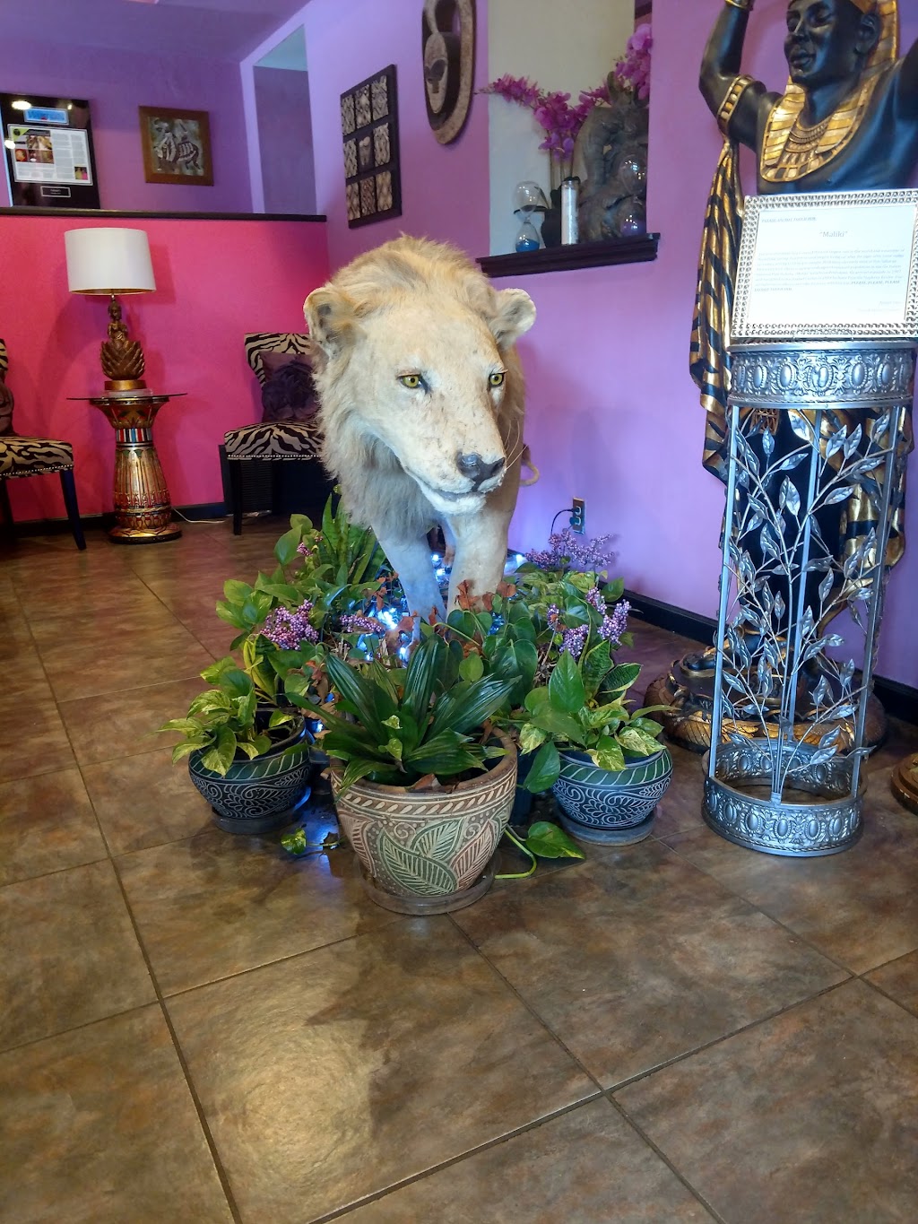 Nefetaris | restaurant | 812 S Macomb St, Tallahassee, FL 32301, USA | 8502100548 OR +1 850-210-0548