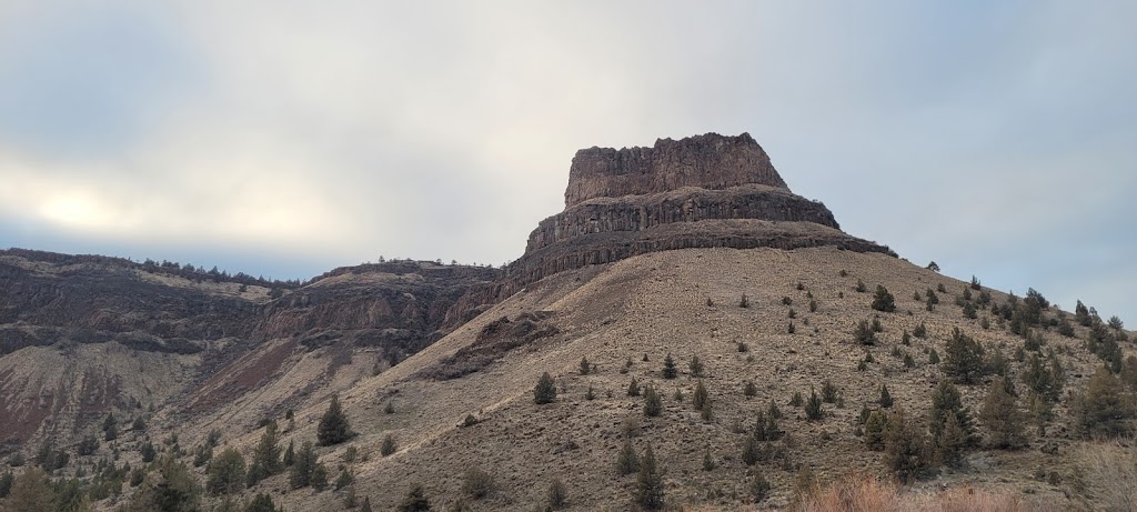 The Drive-In | restaurant | 433 S Main St, Condon, OR 97823, USA | 5413843922 OR +1 541-384-3922