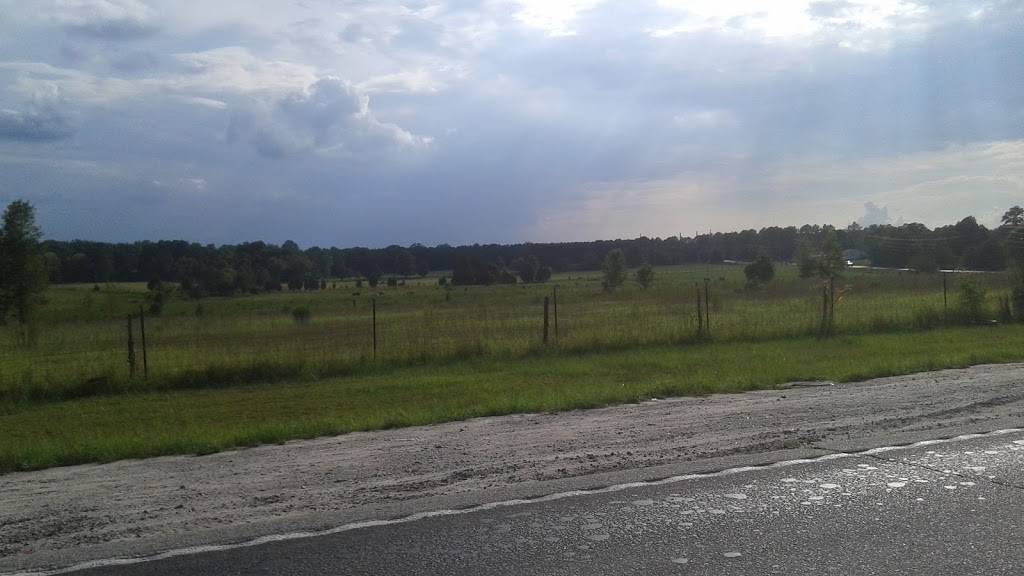 BP | restaurant | 824 White Pond Rd, Elgin, SC 29045, USA | 8034382235 OR +1 803-438-2235