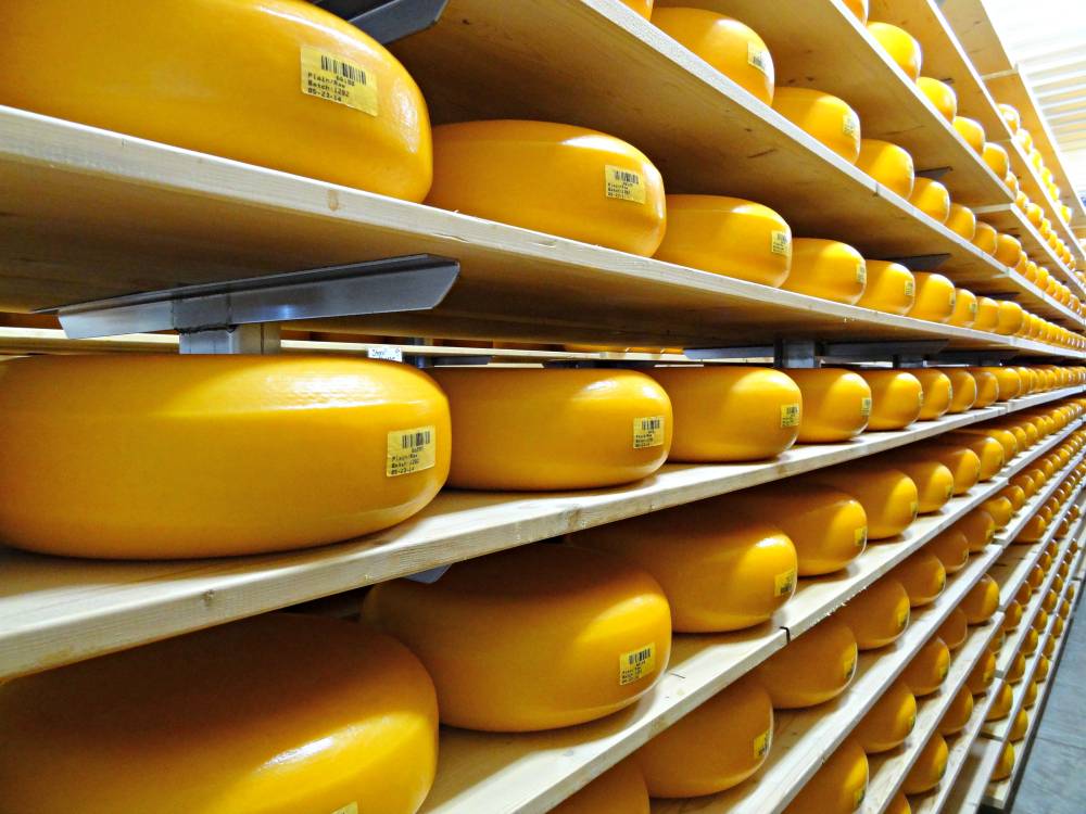 Marieke Gouda | restaurant | 200 W. Liberty Drive, Thorp, WI 54771, USA | 7156695230 OR +1 715-669-5230