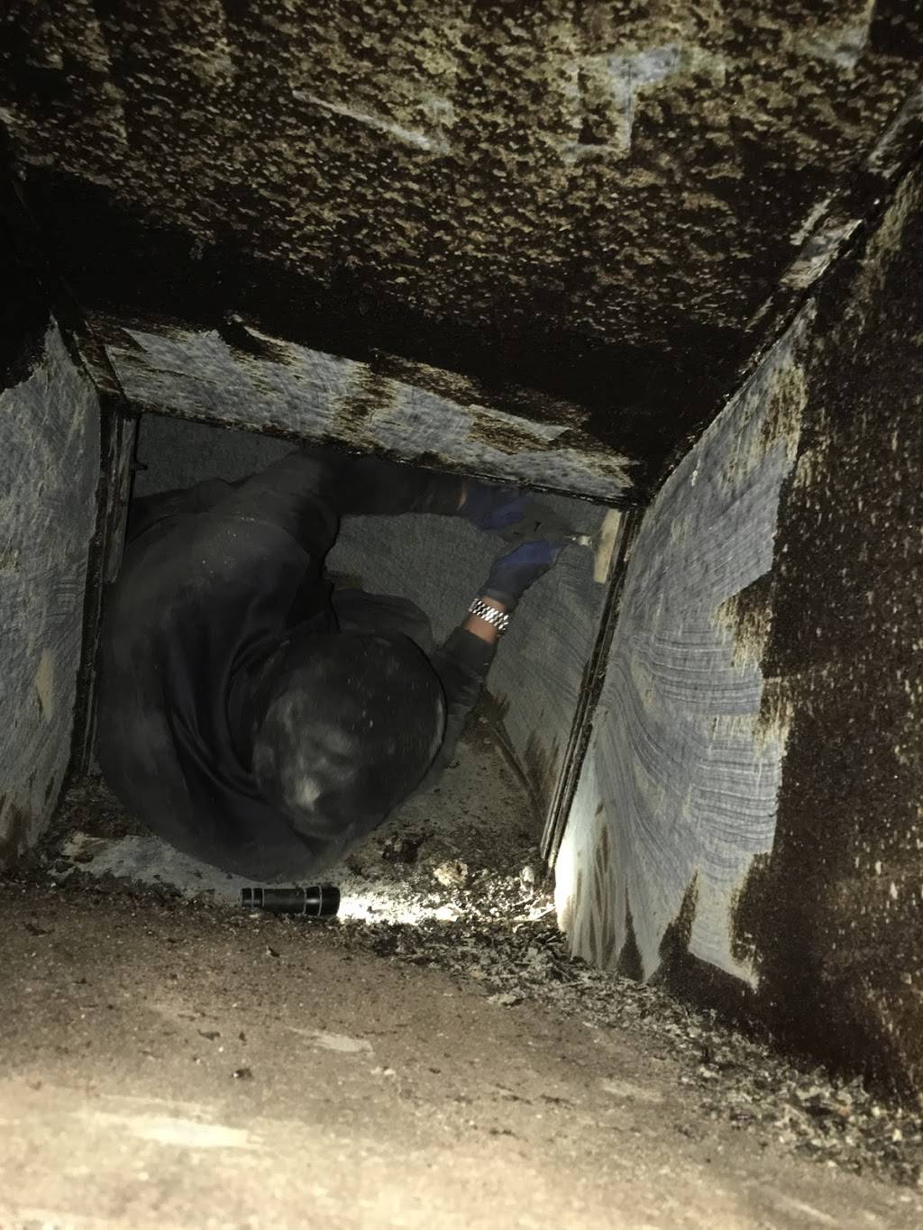 Extensive Tech Services |  | 7709 Dover Rd, Glen Burnie, MD 21060, USA | 3018952120 OR +1 301-895-2120