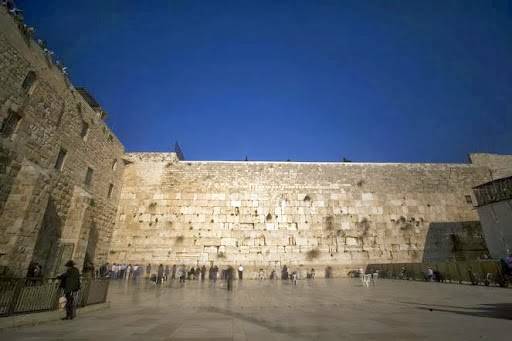 Young Israel of Tampa | restaurant | 13207 N 52nd St, Tampa, FL 33617, USA | 8138323018 OR +1 813-832-3018