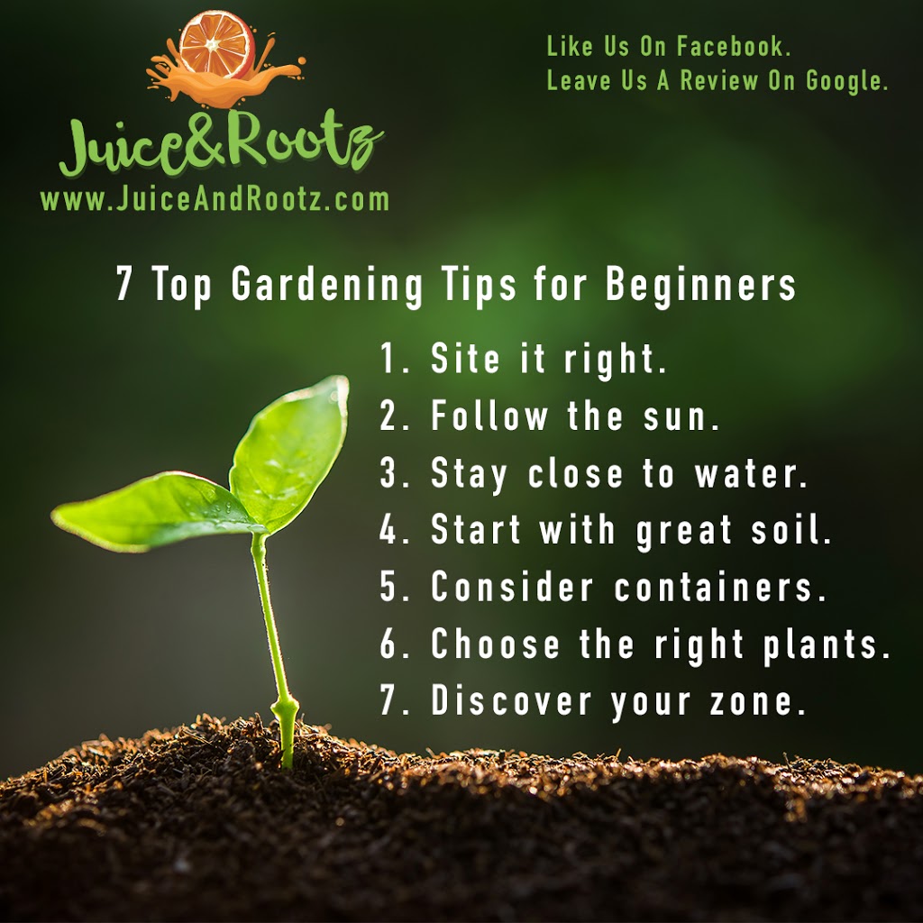 Juice&Rootz | restaurant | 215 Dover Rd, Clarksville, TN 37042, USA | 9315531045 OR +1 931-553-1045