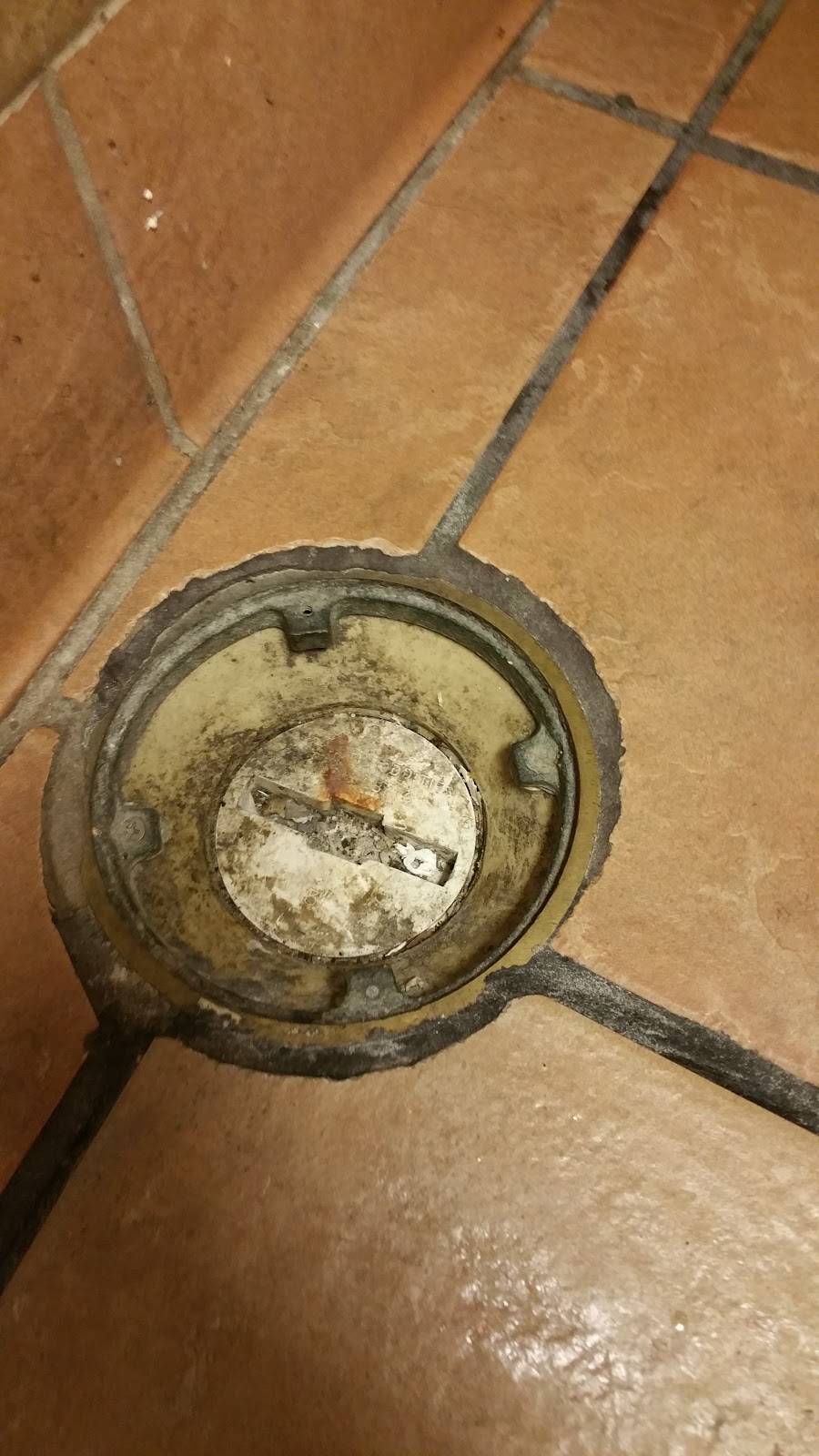 Popeyes Louisiana Kitchen | restaurant | 1283 E Leland Rd, Pittsburg, CA 94565, USA | 9252529888 OR +1 925-252-9888