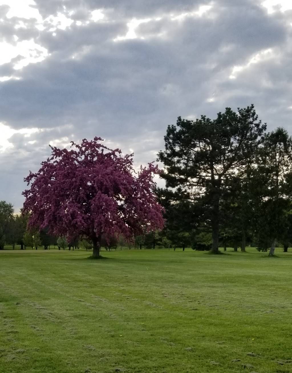 Flint Elks Lodge 222 | restaurant | 7177 E Maple Ave, Grand Blanc, MI 48439, USA | 8107439470 OR +1 810-743-9470