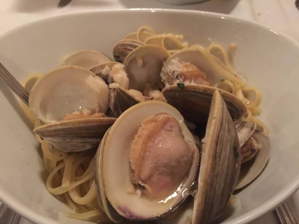 Ninis Cafe | restaurant | 710 New Dorp Ln, Staten Island, NY 10306, USA | 7183519024 OR +1 718-351-9024