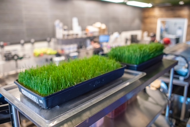 SweetFish | restaurant | 811 N Tampa St, Tampa, FL 33602, USA | 8135373432 OR +1 813-537-3432