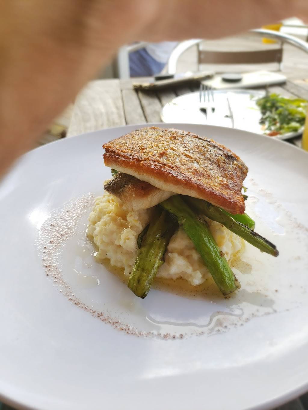 The Wyld | restaurant | 2740 Livingston Ave, Savannah, GA 31406, USA | 9126921219 OR +1 912-692-1219