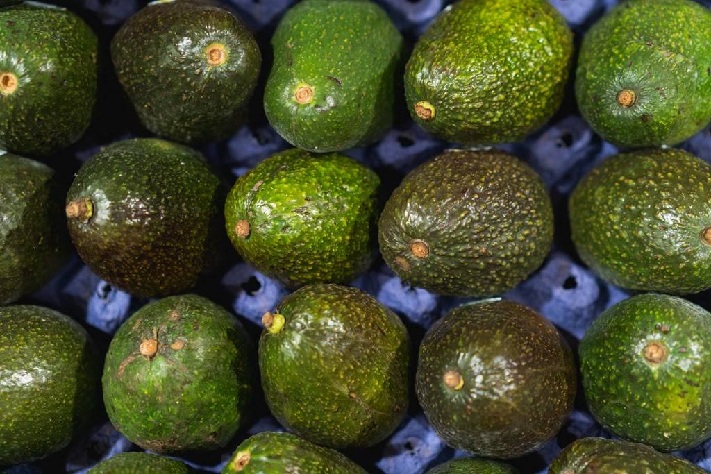 El Taco Loco | restaurant | 1120 S Carrollton Ave, New Orleans, LA 70118, USA | 5043723224 OR +1 504-372-3224