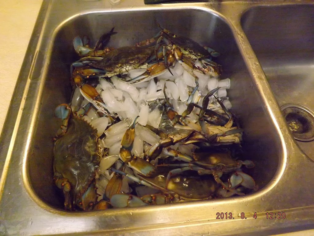 L&T Seafood Market | restaurant | 8710 Pensacola Blvd, Pensacola, FL 32534, USA | 8504947070 OR +1 850-494-7070