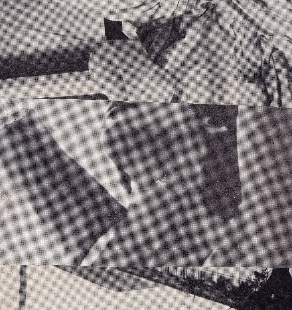 ¡Duino! (Duende) | restaurant | 10 N Winooski Ave, Burlington, VT 05401, USA | 8026609346 OR +1 802-660-9346