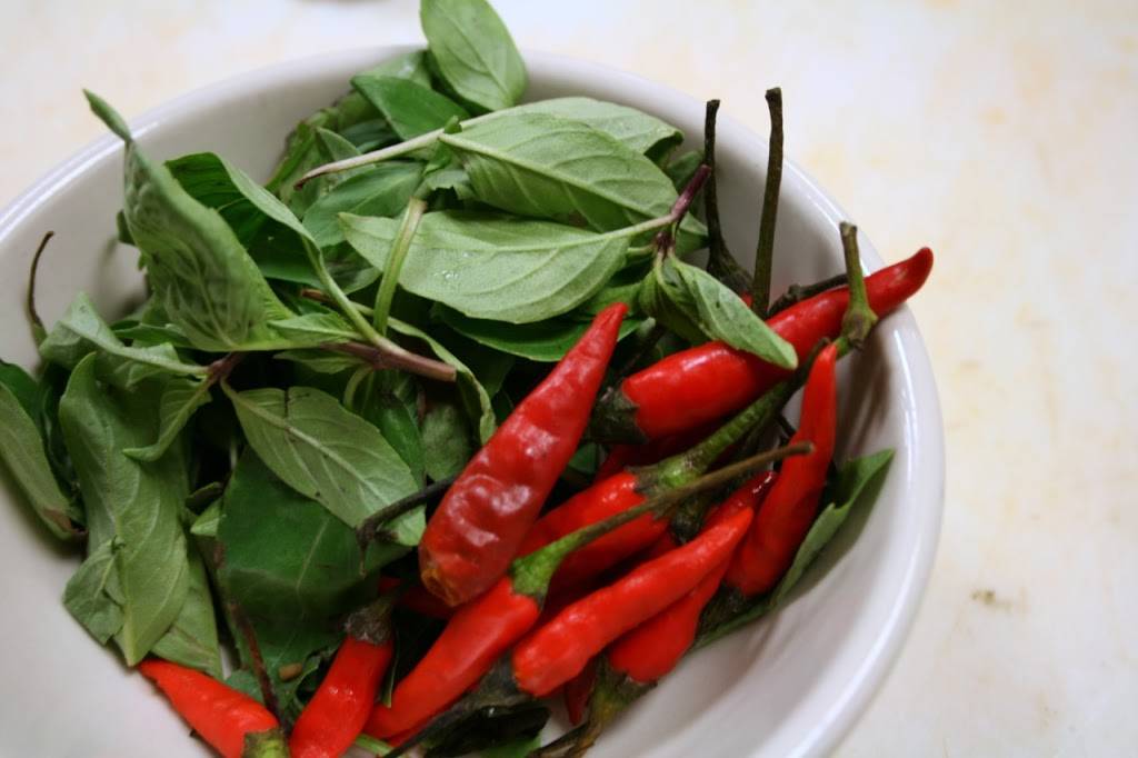 Bistro Elephant | restaurant | 238 W Jefferson St, Syracuse, NY 13202, USA | 3154751111 OR +1 315-475-1111