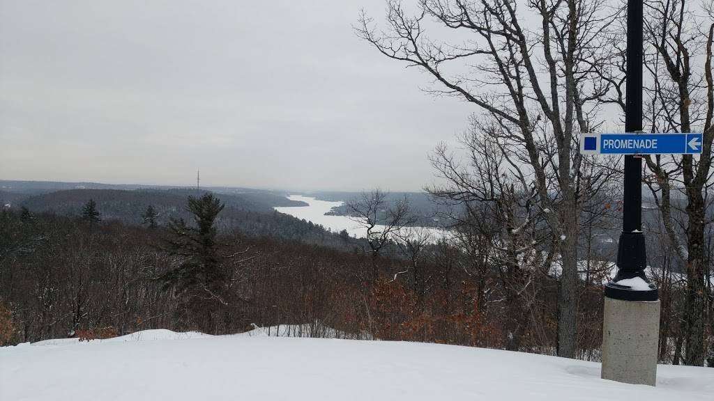 Pub Amigo | restaurant | 448 Chemin du Mont-des-Cascades, Cantley, QC J8V 3B2, Canada | 8198270301 OR +1 819-827-0301