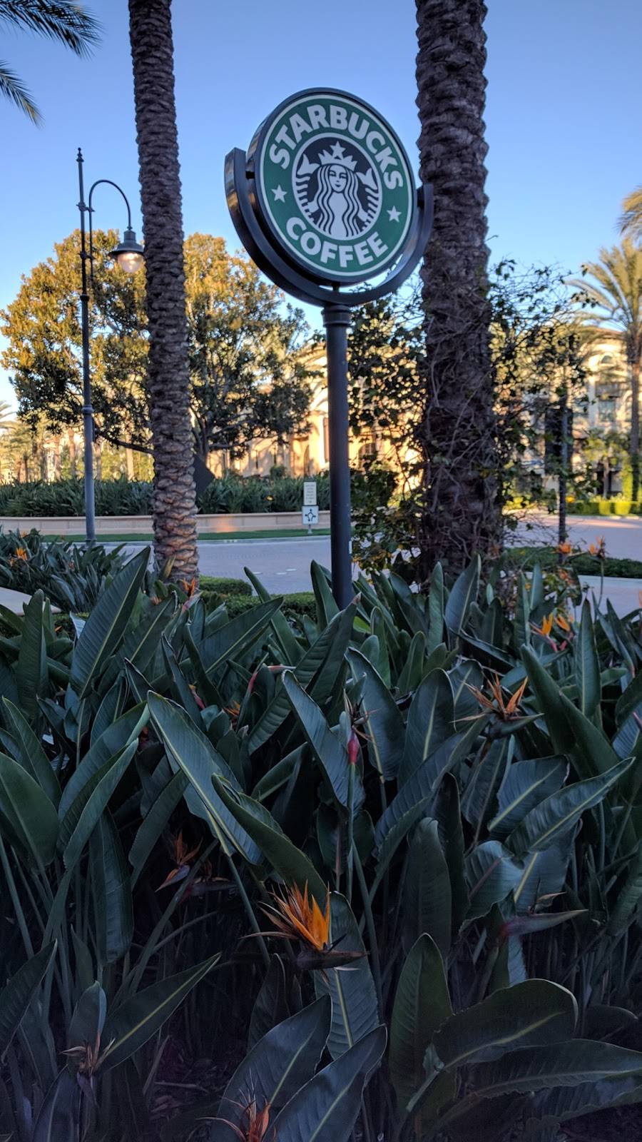 Starbucks | cafe | 38 Prism, Irvine, CA 92618, USA | 9494538212 OR +1 949-453-8212