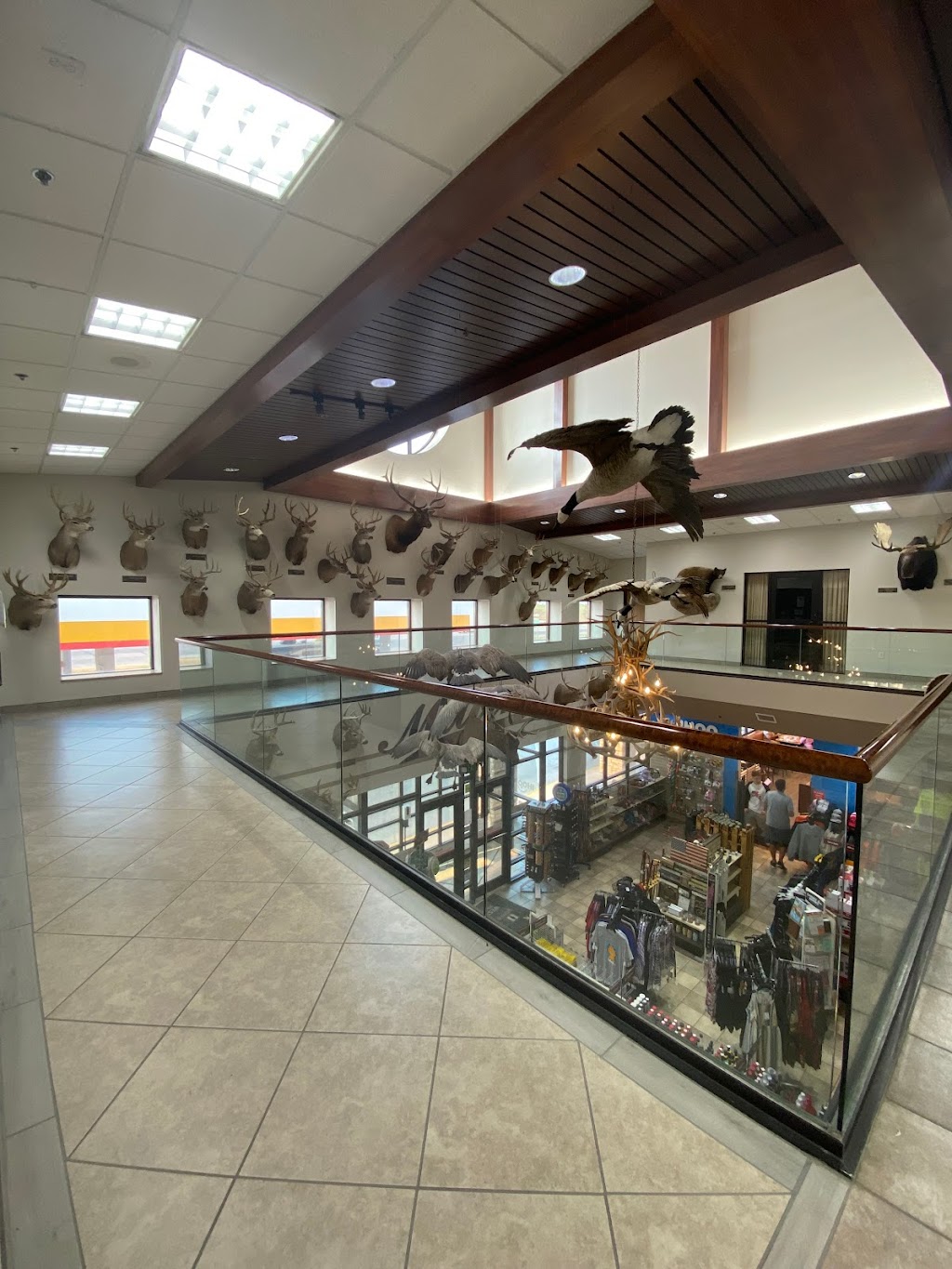 Shell | restaurant | 1001 Eagle Eye Highway 40, Oakley, KS 67748, USA | 7856723062 OR +1 785-672-3062