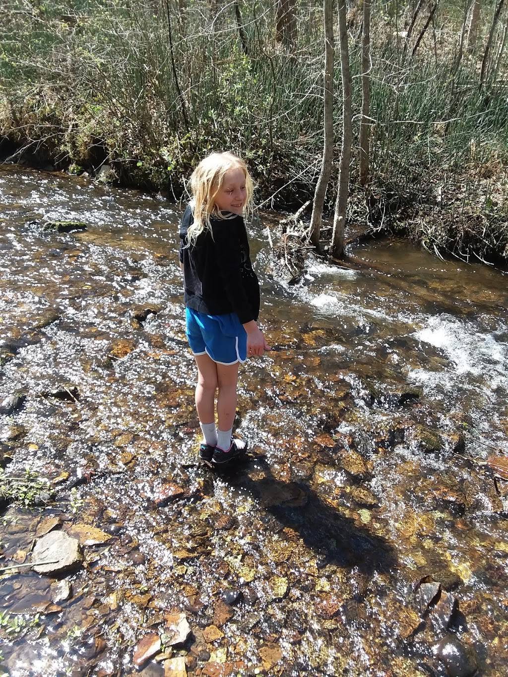 Dairy Queen | restaurant | 98 S Cascade St N, Osceola, WI 54020, USA | 7157553217 OR +1 715-755-3217