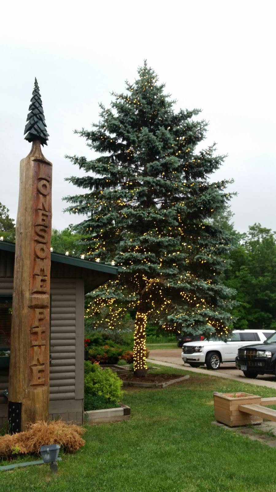 Lonesome Pine Restaurant & Bar | restaurant | 13726 Katrine Dr #8682, Deerwood, MN 56444, USA | 2186782874 OR +1 218-678-2874