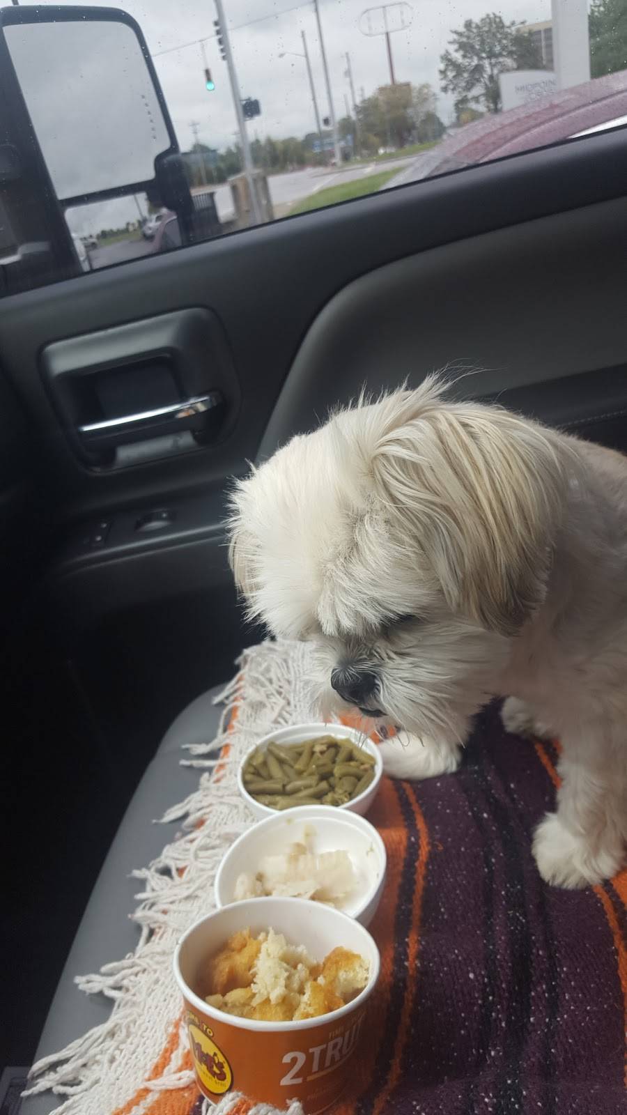 Captain Ds | restaurant | 7000 Reading Rd, Cincinnati, OH 45237, USA | 5137314967 OR +1 513-731-4967