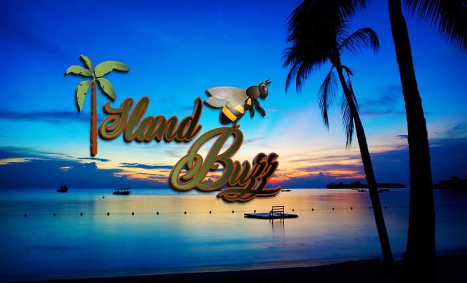 Island Buzz | restaurant | 1601 S Congress Ave, Delray Beach, FL 33445, USA | 5616345980 OR +1 561-634-5980