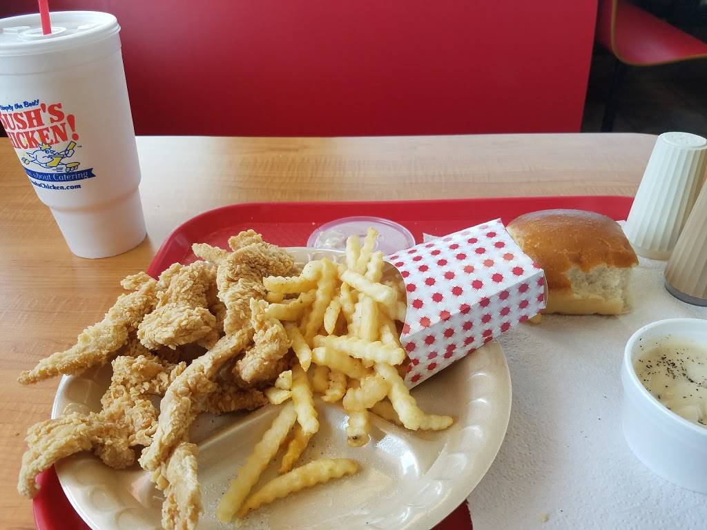 Bushs Chicken | restaurant | 1035 N. State Hwy, San Marcos, TX 78666, USA | 5126677244 OR +1 512-667-7244