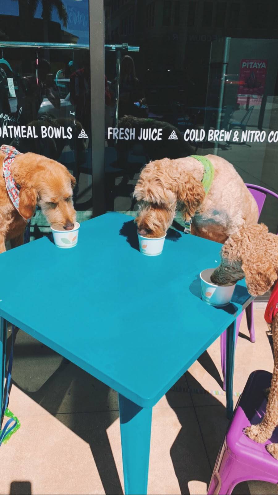 Sweetberry Naples (Mercato) | restaurant | 9115 Strada Pl, Naples, FL 34108, USA | 2396316117 OR +1 239-631-6117