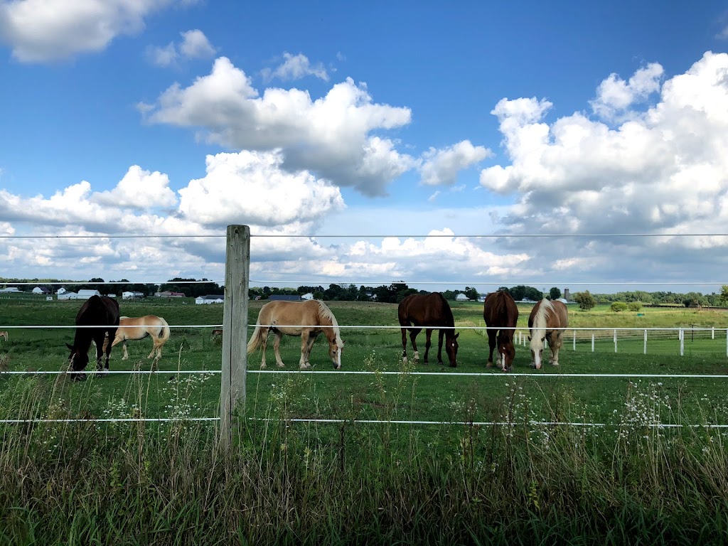 Shipshewana LaGrange County Visitors Bureau | restaurant | 350 S Van Buren St Suite H, Shipshewana, IN 46565, USA | 8002548090 OR +1 800-254-8090