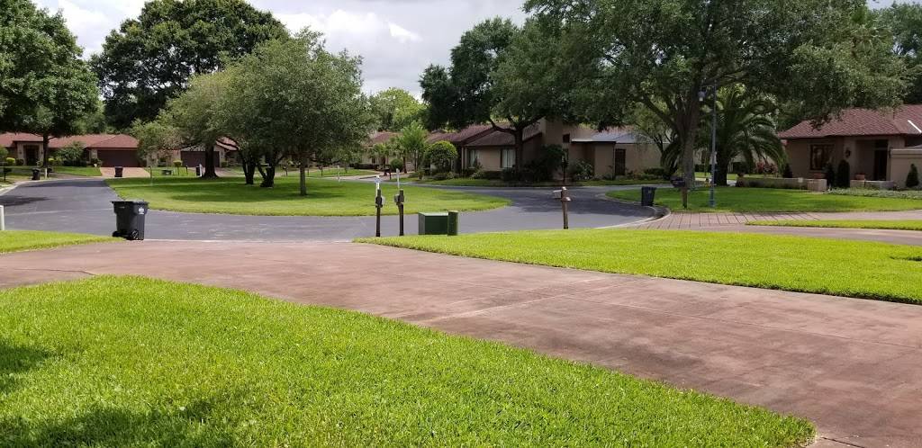 La Viva | restaurant | 700 Dorado Ct, Brandon, FL 33511, USA | 8136550527 OR +1 813-655-0527