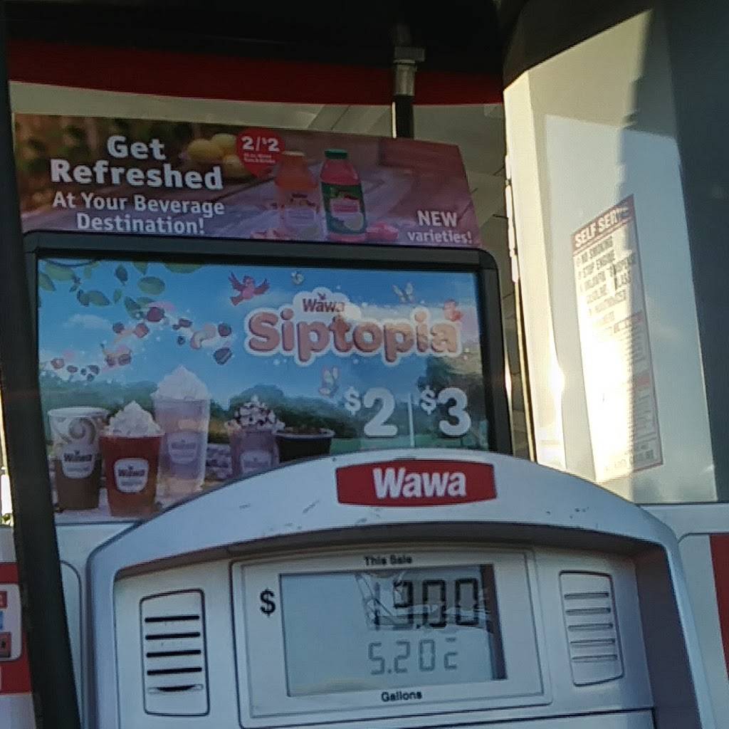 Wawa | restaurant | 5011 E Busch Blvd, Tampa, FL 33617, USA | 8135245378 OR +1 813-524-5378