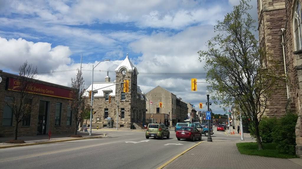 Dominos Pizza | meal delivery | 351 St Andrew St W, Fergus, ON N1M 1P1, Canada | 5198438383 OR +1 519-843-8383