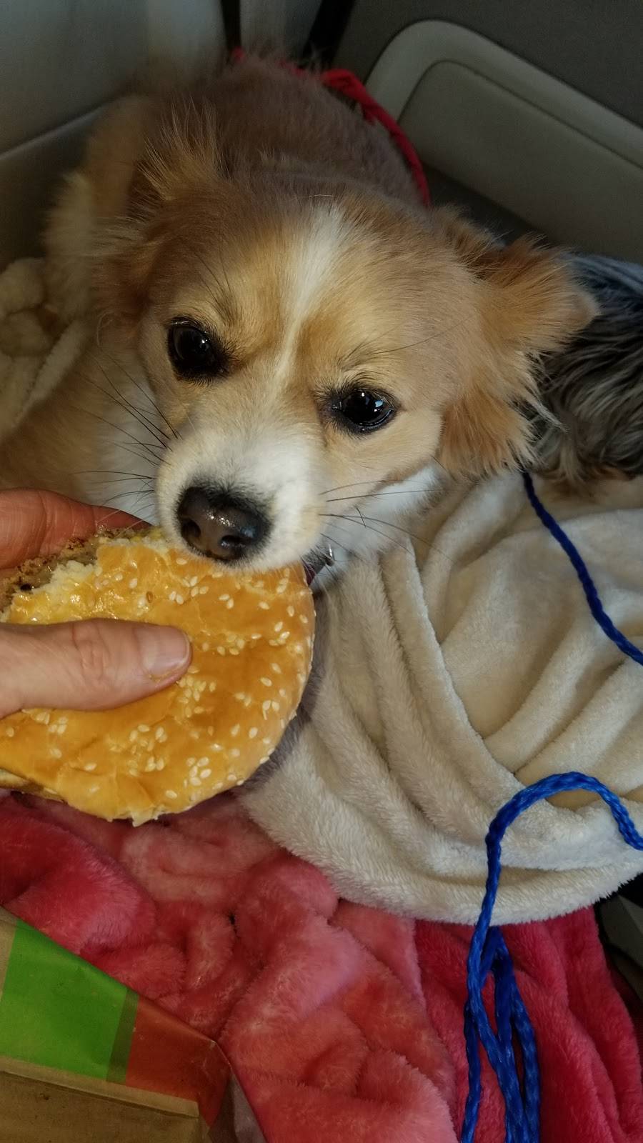 Burger King | restaurant | 1500 I-35, Waco, TX 76706, USA | 2547535101 OR +1 254-753-5101