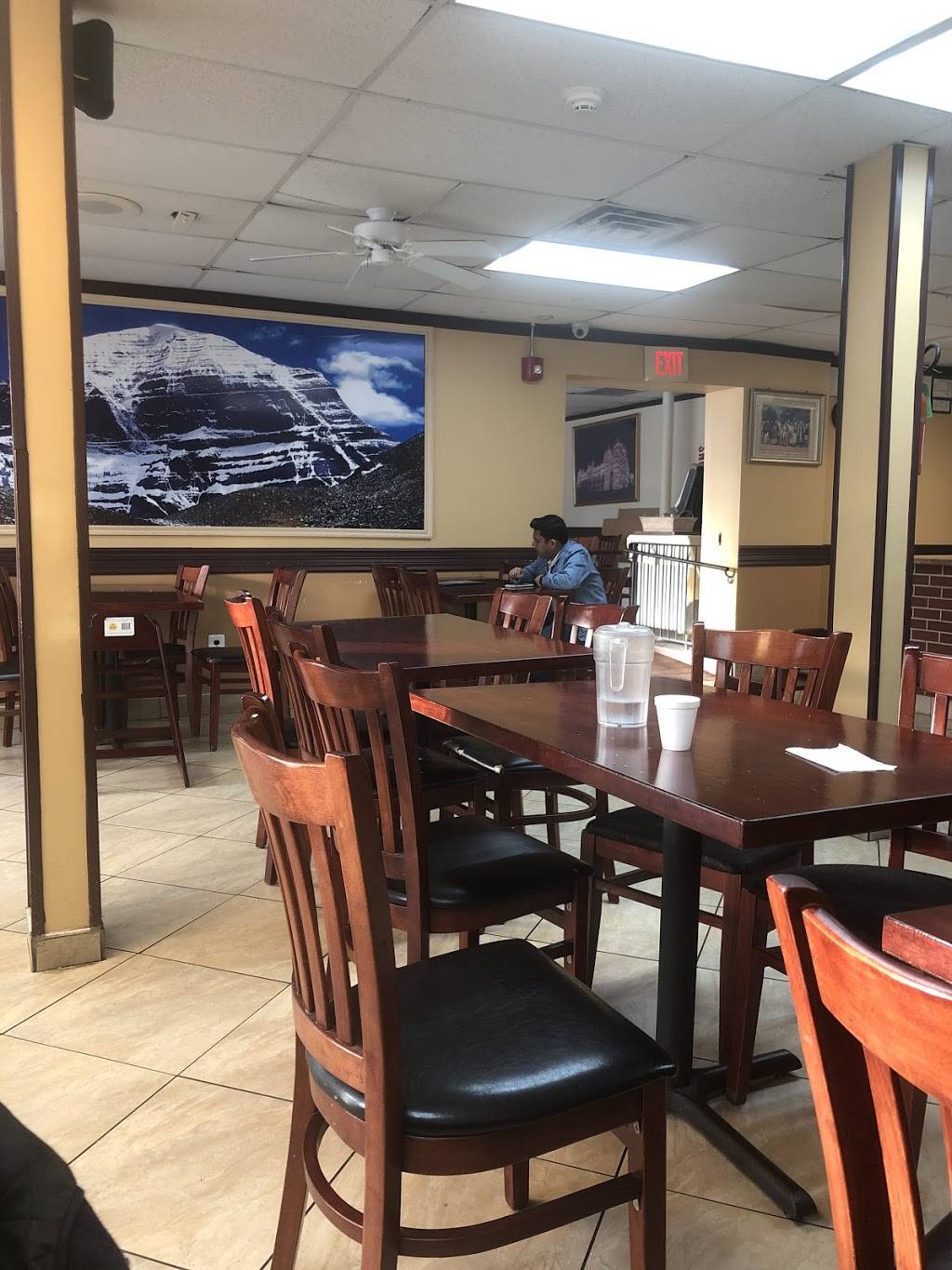 Dosa Express | restaurant | 1170 Green St, Iselin, NJ 08830, USA | 7324040047 OR +1 732-404-0047