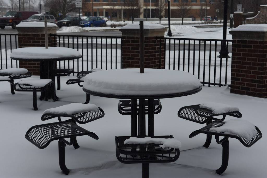 Scoobies | restaurant | 223 N Main St, Mishawaka, IN 46544, USA | 5742567090 OR +1 574-256-7090