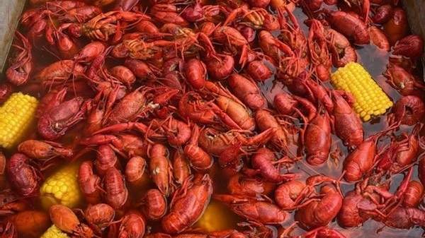 Boiler Room Crawfish | restaurant | 110 Farm to Market Rd 1488, Conroe, TX 77384, USA | 9364469188 OR +1 936-446-9188