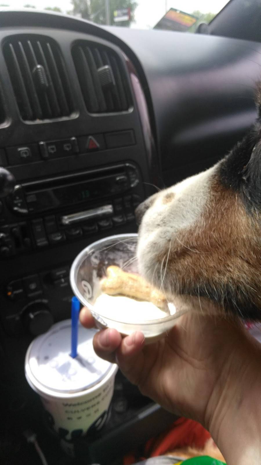 Culvers | restaurant | 105 Opportunity Blvd N, Cambridge, MN 55008, USA | 7636892005 OR +1 763-689-2005