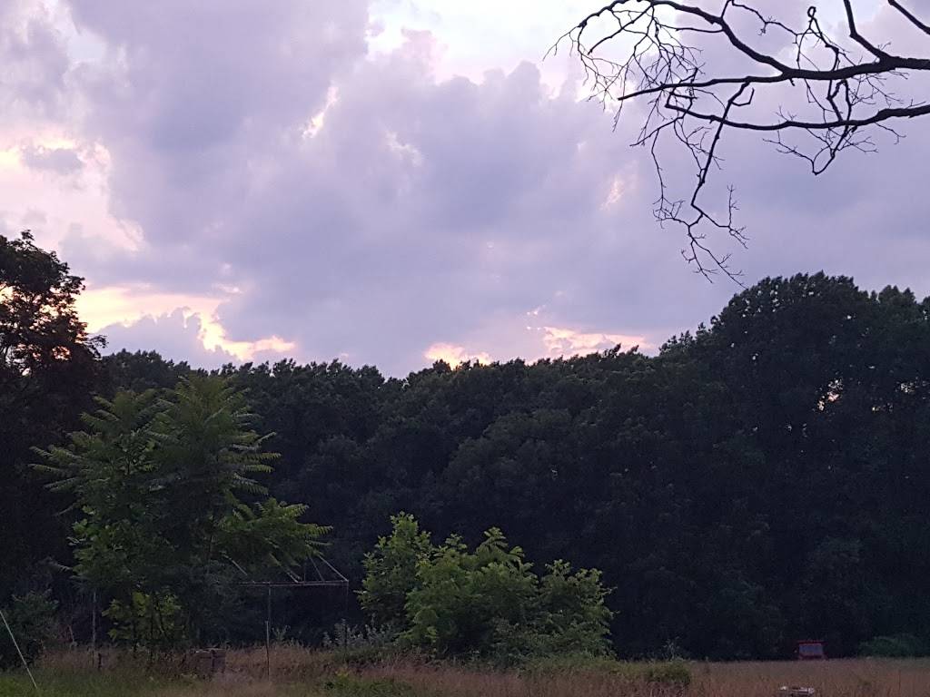 Duffers Tavern | restaurant | 192 PA-352, Glen Mills, PA 19342, USA | 6103585050 OR +1 610-358-5050