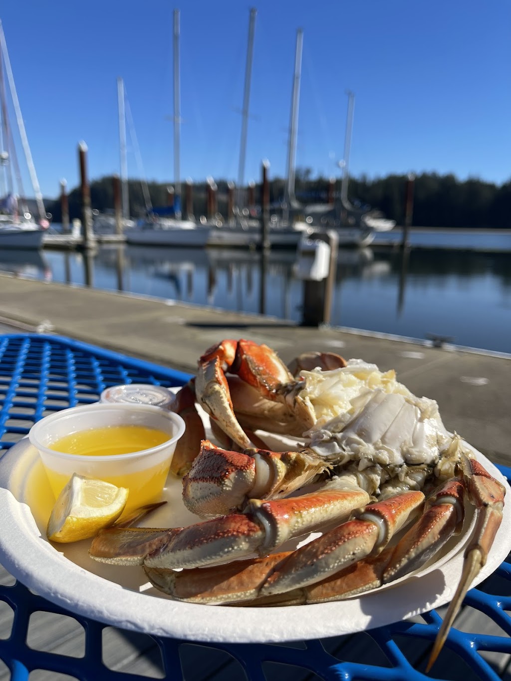 Novellis Crab and Seafood (Floating Metal Building) | restaurant | 100 Harbor Street, Boat Slip A13 On Boat Dock, across from grass field/Boardwalk. Go through gates and down ramp, Florence, OR 97439, USA | 5416397689 OR +1 541-639-7689