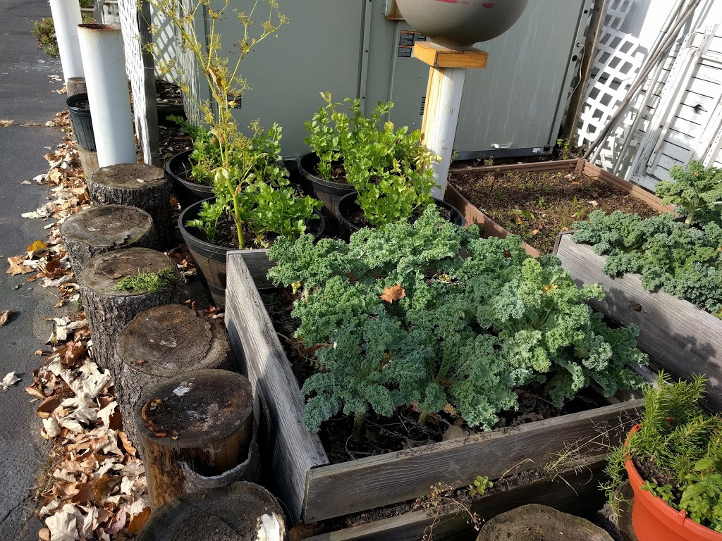 East West Grille | restaurant | 526 New Park Ave, West Hartford, CT 06110, USA | 8602363287 OR +1 860-236-3287