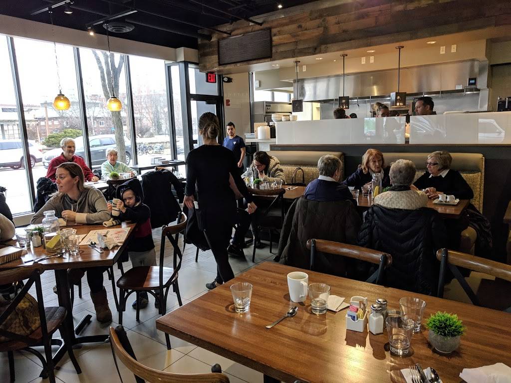 Stray Hen Cafe | restaurant | 105 S York St suite a, Elmhurst, IL 60126, USA | 6303595282 OR +1 630-359-5282