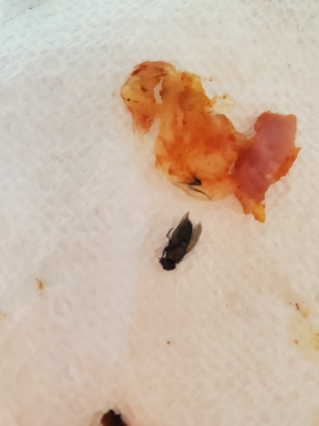 Hungry Howies Pizza | meal delivery | 3096 Gulf Breeze Pkwy, Gulf Breeze, FL 32563, USA | 8509346787 OR +1 850-934-6787