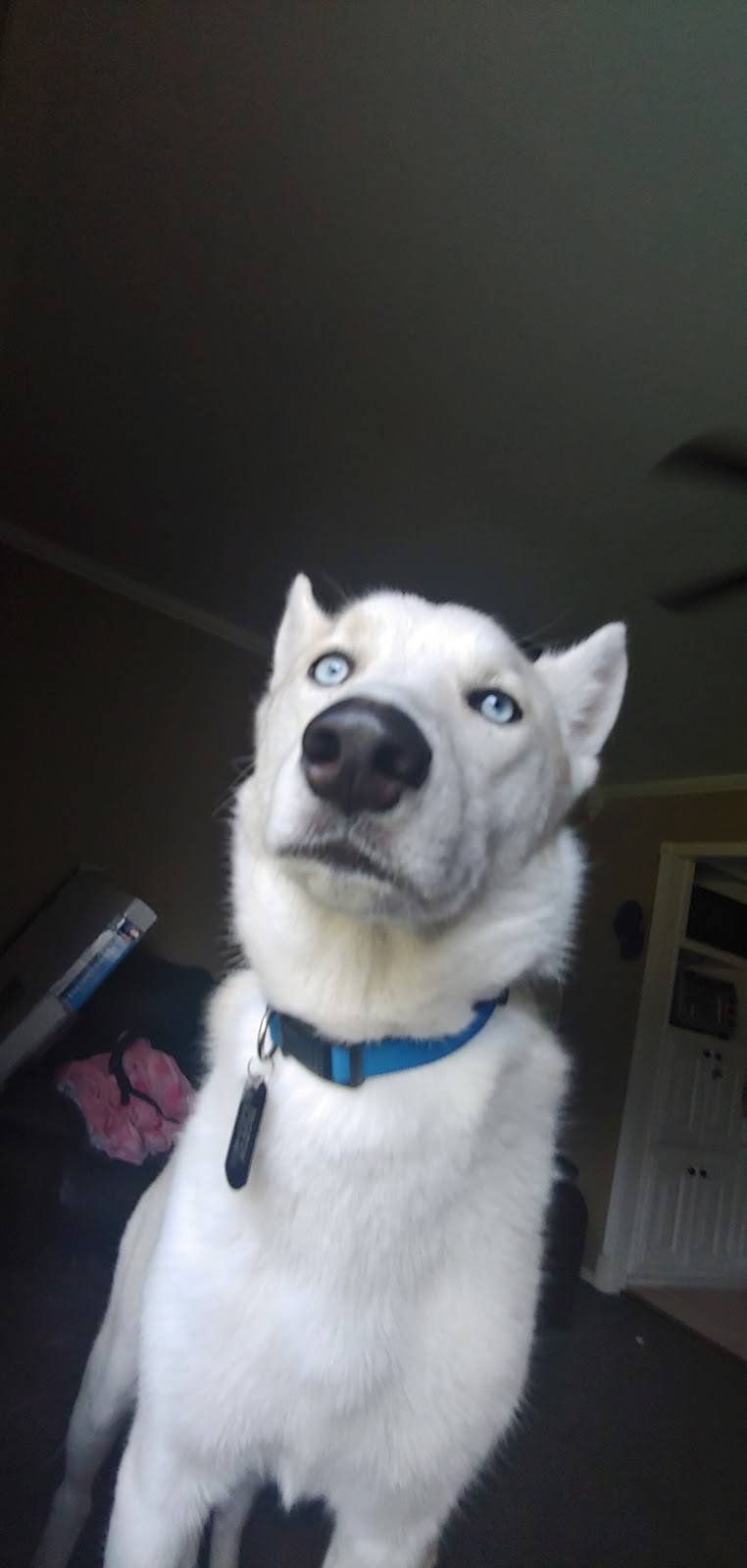 Mazzios Italian Eatery | meal delivery | 12505 S Memorial Dr, Bixby, OK 74008, USA | 9186644444 OR +1 918-664-4444