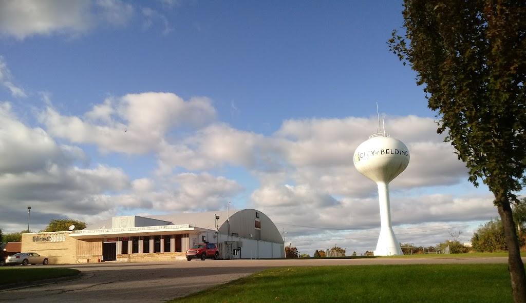 Hillcrest Lanes | restaurant | 420 E State St, Belding, MI 48809, USA | 6167942020 OR +1 616-794-2020